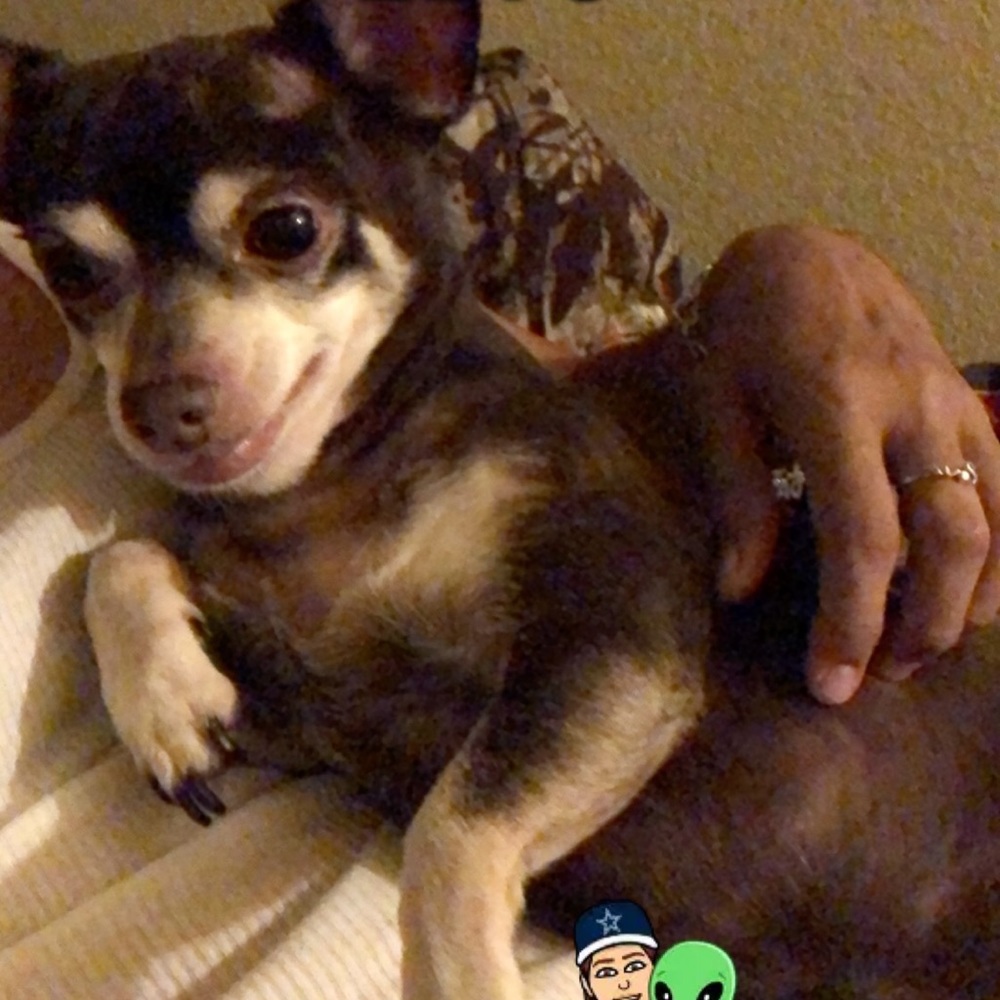 Meet your Posher, Tina